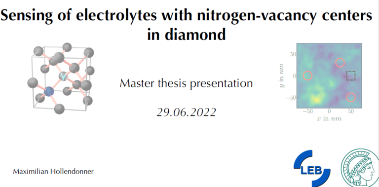 Maximilian Hollendonner’s Master Thesis Defense